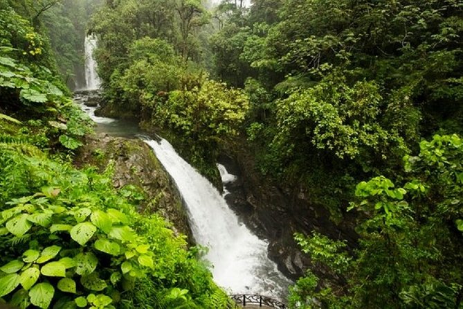 La Paz Waterfalls - Entering La Paz Waterfall Gardens