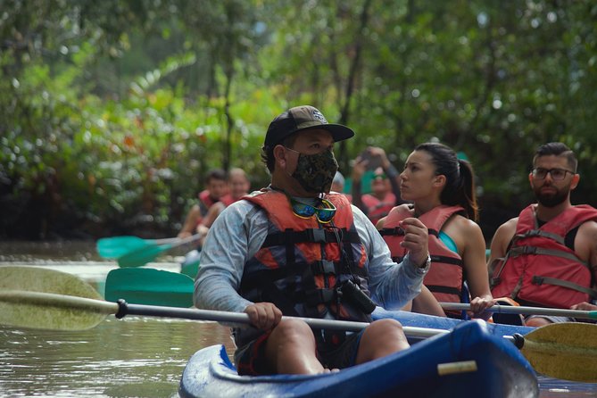 Mangrove Damas Island Kayak Tours - Key points to know before you book