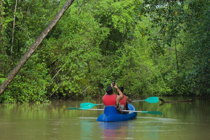 Mangrove Damas Island Kayak Tours - Paddling through the mangrove channels