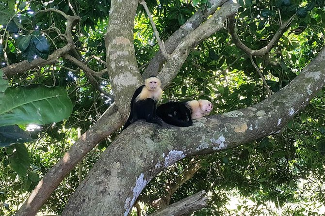 Manuel Antonio National Park; Beach & Sightseeing Day Trip from San Jose - San José to Orotina: breakfast, fruit, and the first taste of the coast