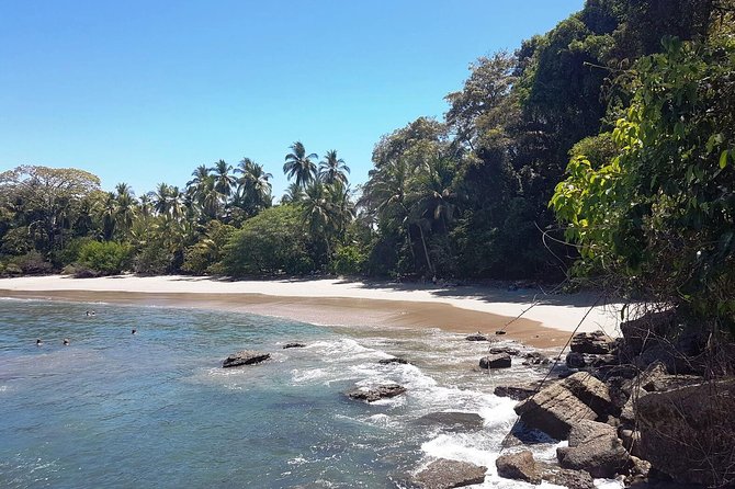 Manuel Antonio National Park; Beach & Sightseeing Day Trip from San Jose - Crocodile Bridge and Tarcoles Beach: two quick wildlife stops