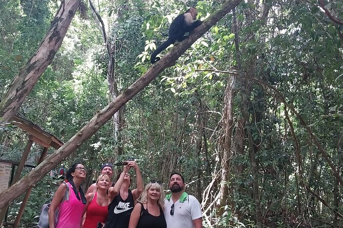 Manuel Antonio National Park guided tour - The first walk through the park