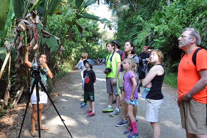 Manuel Antonio National Park Hiking Tour from Jacó - What the $135 price really covers