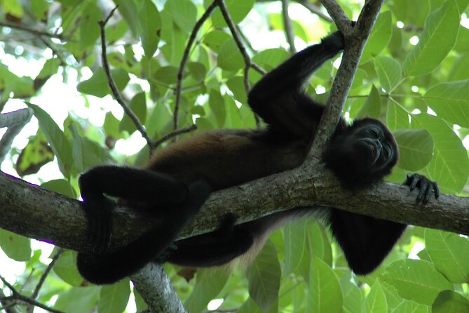 Manuel Antonio National Park Hiking Tour from Jacó - Tucanes Tours operation center: the practical first stop