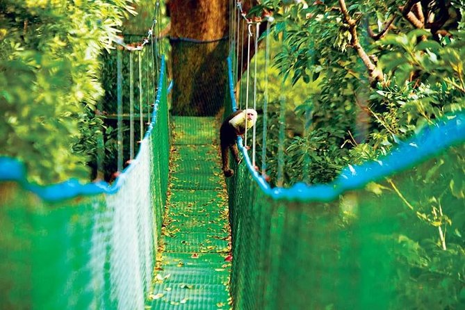 MEGA COMBO: 8 activities in 1 day, including natural hot springs - Zip lines and hanging bridges at the adventure park