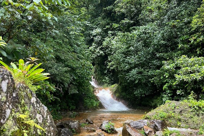 Miravalles Volcano: Sloth's Park, Hanging Bridges & Hot Springs. - Mud baths, sauna, and hot springs