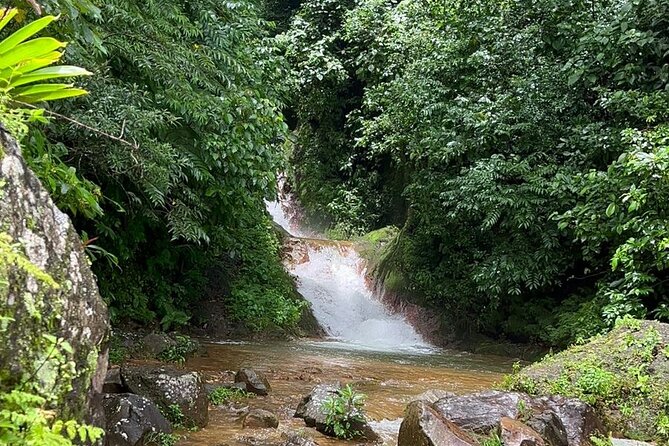 Miravalles Volcano: Sloth's Park, Hanging Bridges & Hot Springs. - Lunch makes the long day easier