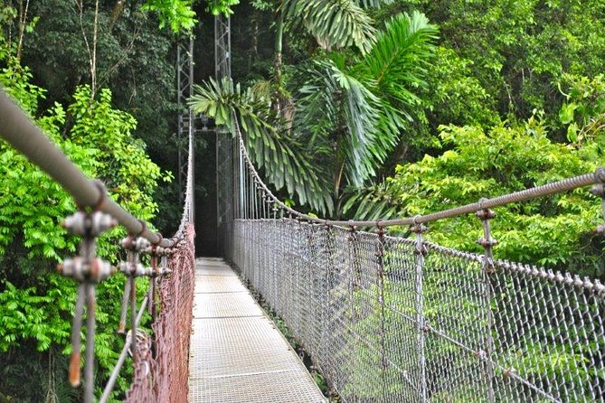 Mistico Hanging Bridges Park from La Fortuna - Is $82 a fair price?