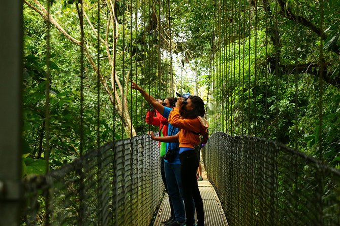 Mistico Hanging Bridges Park from La Fortuna - Crossing all 15 bridges