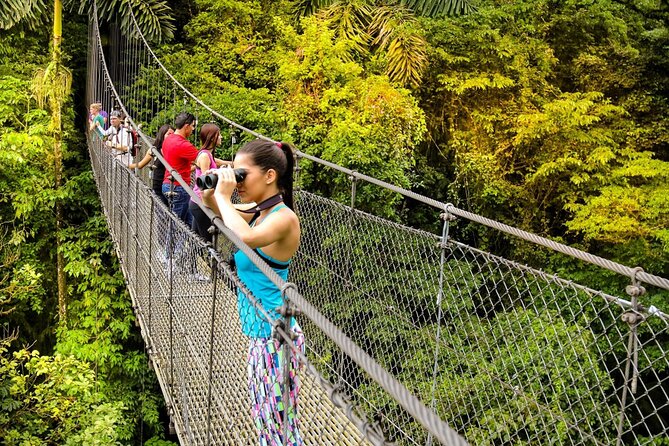 Mistico Hanging Bridges Tour with Lunch and Hotsprings - Walking above the rainforest at Mistico