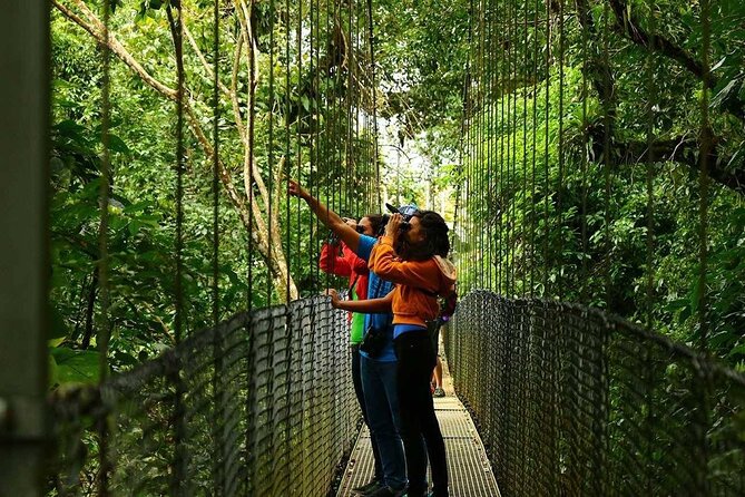 Mistico Hanging Bridges Tour with Lunch and Hotsprings - The waterfall question you need to settle first