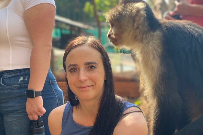 Monkey, Crocodile, Sloths & Beach Experience - Should you book this Jaco wildlife tour?