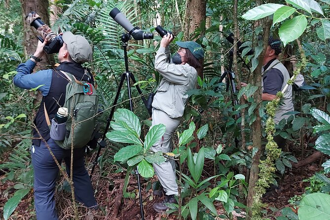 Monteverde Birdwatching Experience - Why the 7:00 a.m. start matters