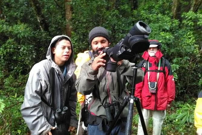 Monteverde Birdwatching Experience - Practical details before you go