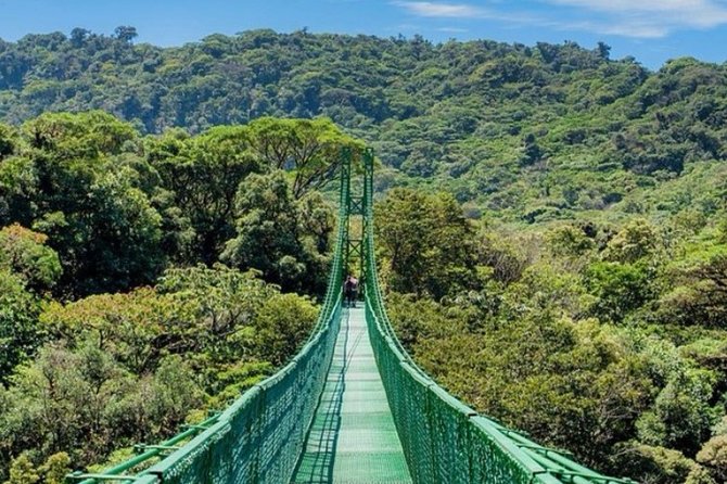 Monteverde Cloud Forest Hanging Bridges Tour from San Jose - What you may see in the forest
