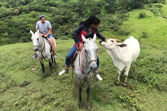 Monteverde Cloud Forest Horseback Riding - Sugarcane, snacks, and the farm visit
