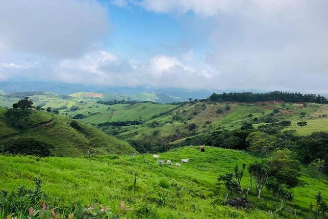 Monteverde Cloud Forest Horseback Riding - Three departure times, three different moods