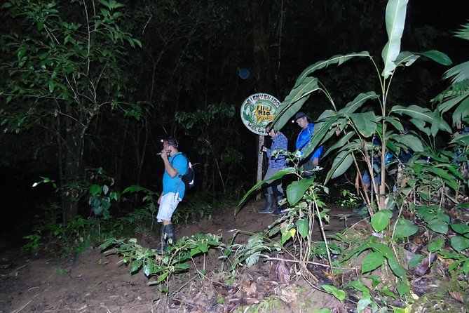 Nativos Corcovado Night Hike in DrakeBay - Key points to know before you book