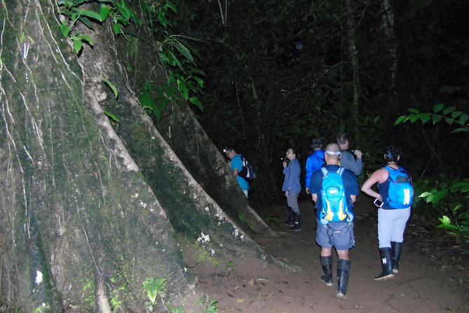 Nativos Corcovado Night Hike in DrakeBay - A real forest walk after sunset