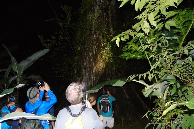 Nativos Corcovado Night Hike in DrakeBay - What you are likely to see at night