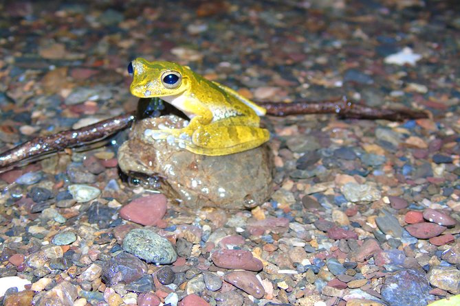 Nativos Corcovado Night Hike in DrakeBay - Following Rio Agujitas and the EcoFarm