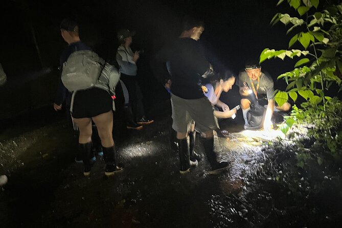 Night Walk Tour and Jungle Dinner in Jaco - What to bring and how to prepare