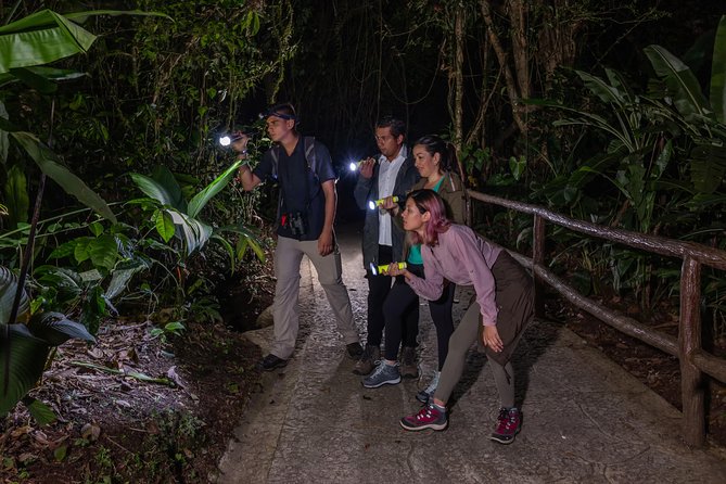 Nocturnal Walk in the Hanging Bridges - Crossing Mistico Park’s hanging bridges at night