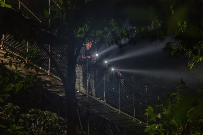 Nocturnal Walk in the Hanging Bridges - The guides make the biggest difference