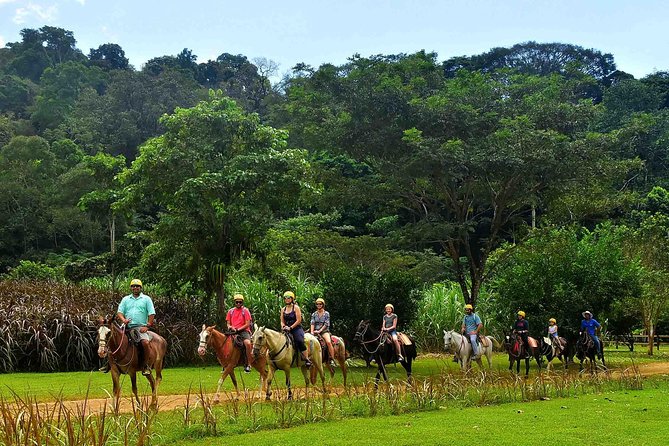 Ocean View Zip Line + Horseback Riding & Natural Pool Combo - Horseback riding from mountain roads to the pool