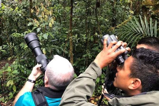 Package | Monteverde Cloud Forest + Curi-Cancha Reserve + Night Hike (Private) - Why this private Monteverde day works