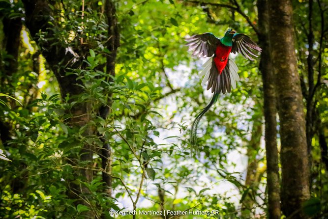Package | Monteverde Cloud Forest + Curi-Cancha Reserve + Night Hike (Private) - The night hike at Monteverde Wildlife Refuge
