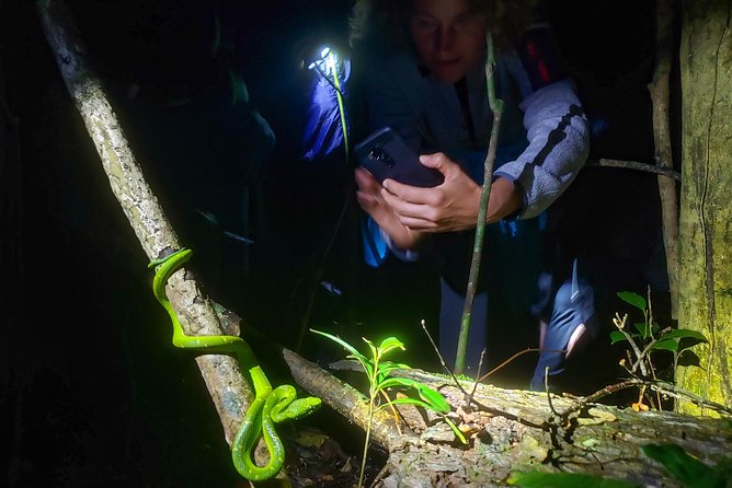 Package | Monteverde Cloud Forest + Curi-Cancha Reserve + Night Hike (Private) - Morning among the clouds at Monteverde Biological Reserve