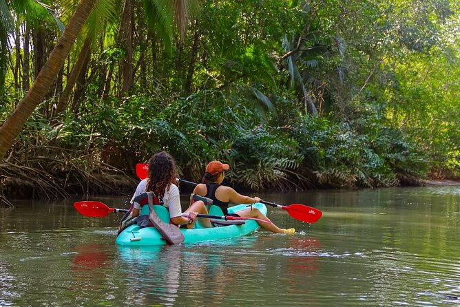 Paddle Through Paradise: Mangrove Kayak Adventure - Key points to know before booking