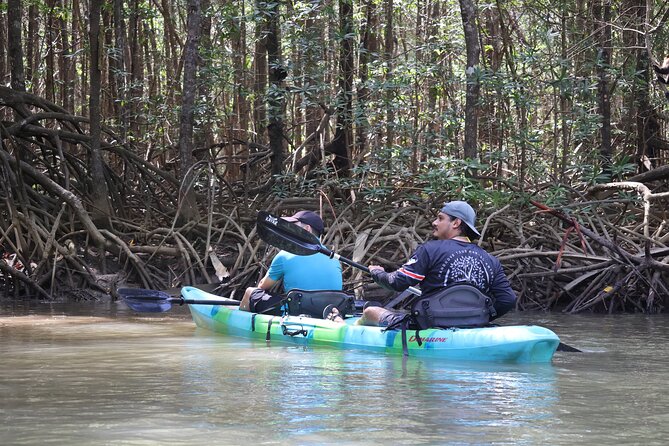 Paddle Through Paradise: Mangrove Kayak Adventure - The farm setting and fresh fruit finish