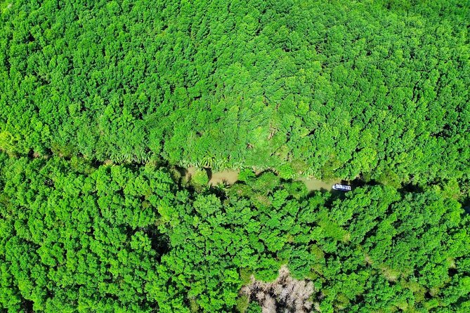 Paddle Through Paradise: Mangrove Kayak Adventure - Why kayaking beats a motorboat here