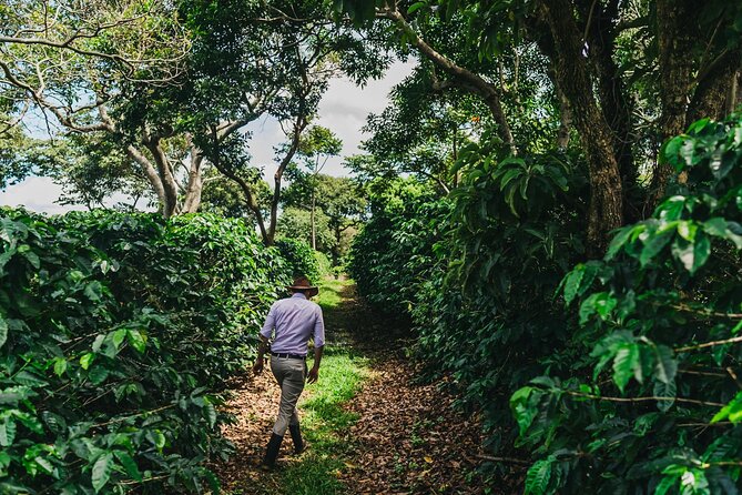 Poás Volcano and Coffee Tour with Tasting and La Paz Falls - Is $105 a fair price?
