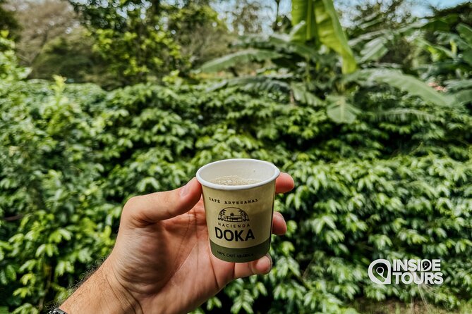 Poás Volcano and Coffee Tour with Tasting and La Paz Falls - Booking advice for a smoother day