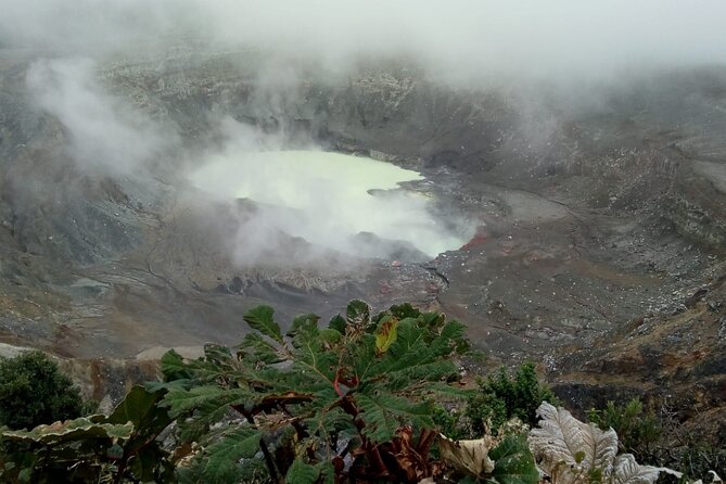 Poas Volcano waterfalls and coffee tour from from San Jose - Key points to know before you go