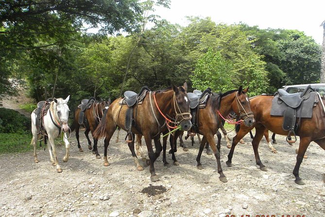 PRIVATE Buena Vista: Zip line, Horseback, Hot Springs + Lunch - What the guides add to the day