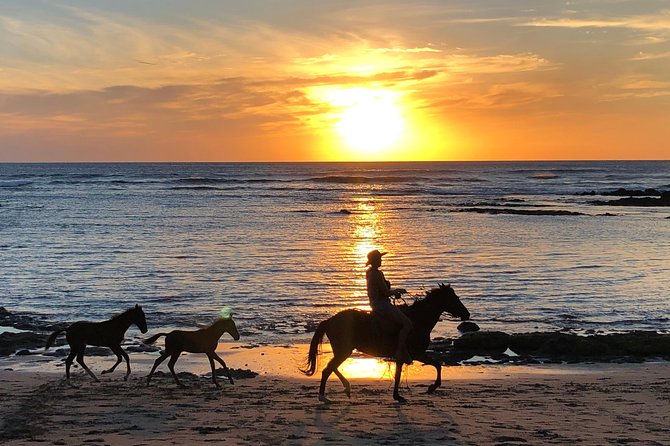 Private tours and transfer Costa Rica - A 6:00 a.m. start and a useful half-day rhythm