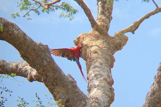 Private tours and transfer Costa Rica - Meeting a local family over a cooked meal