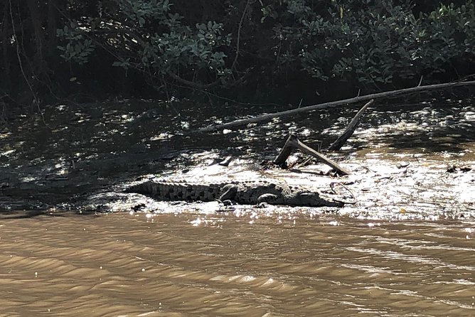 Private tours and transfer Costa Rica - On the boat: birds, crocodiles, and monkeys
