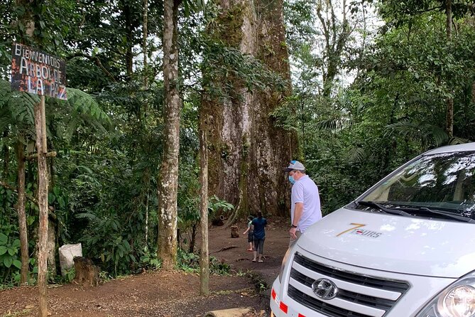 Private Transfer from La Fortuna to SJO Airport San Jose Hotels - The road from La Fortuna to San José