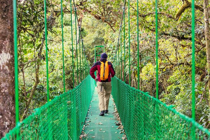 Puntarenas Shore Excursion: Rainforest Skywalk & Tarcoles River - Why this Puntarenas shore excursion works