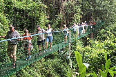 Puntarenas Shore Excursion: Rainforest Skywalk & Tarcoles River