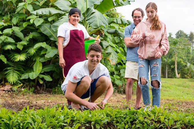 Pura Vida Cooking Class in La Fortuna (From farm to table) - Cooking gallina achiotada in an open-air kitchen
