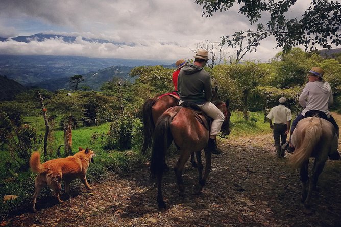 Queveri Horseback Riding Tours - A horseback ride with a job to do