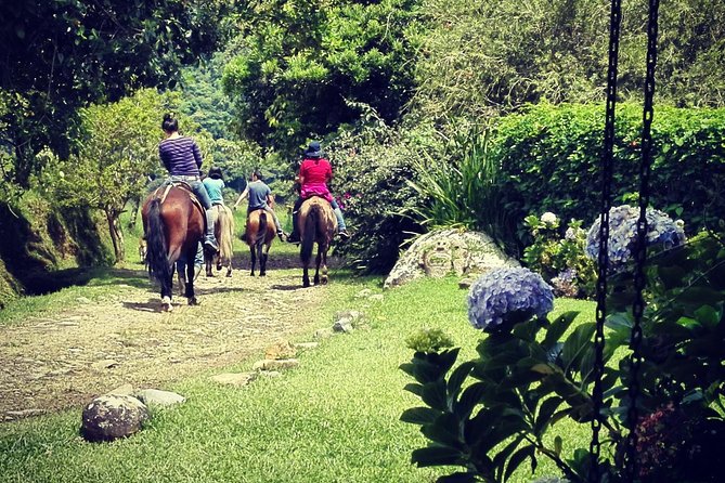 Queveri Horseback Riding Tours - Booking, timing, and value at $65