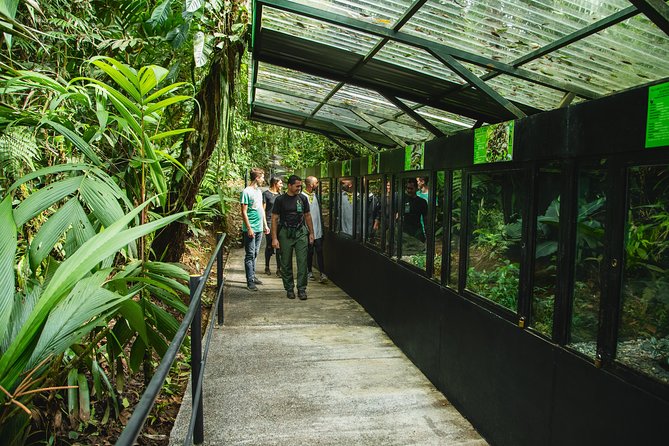 Rainforest Aerial Tram Half Day Pass – Braulio Carrillo Park - Why the aerial tram is the star attraction