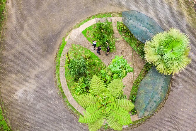 Rainforest Aerial Tram Half Day Pass – Braulio Carrillo Park - What you can expect from the tram route